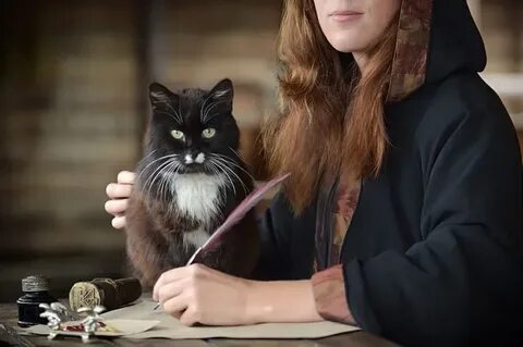 Ведьмин кот