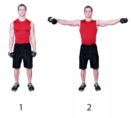 Later raises. Упражнение блин перед собой. Later raises. Подъем гантелей в стороны на дельты. Dumbbell lateral raise.