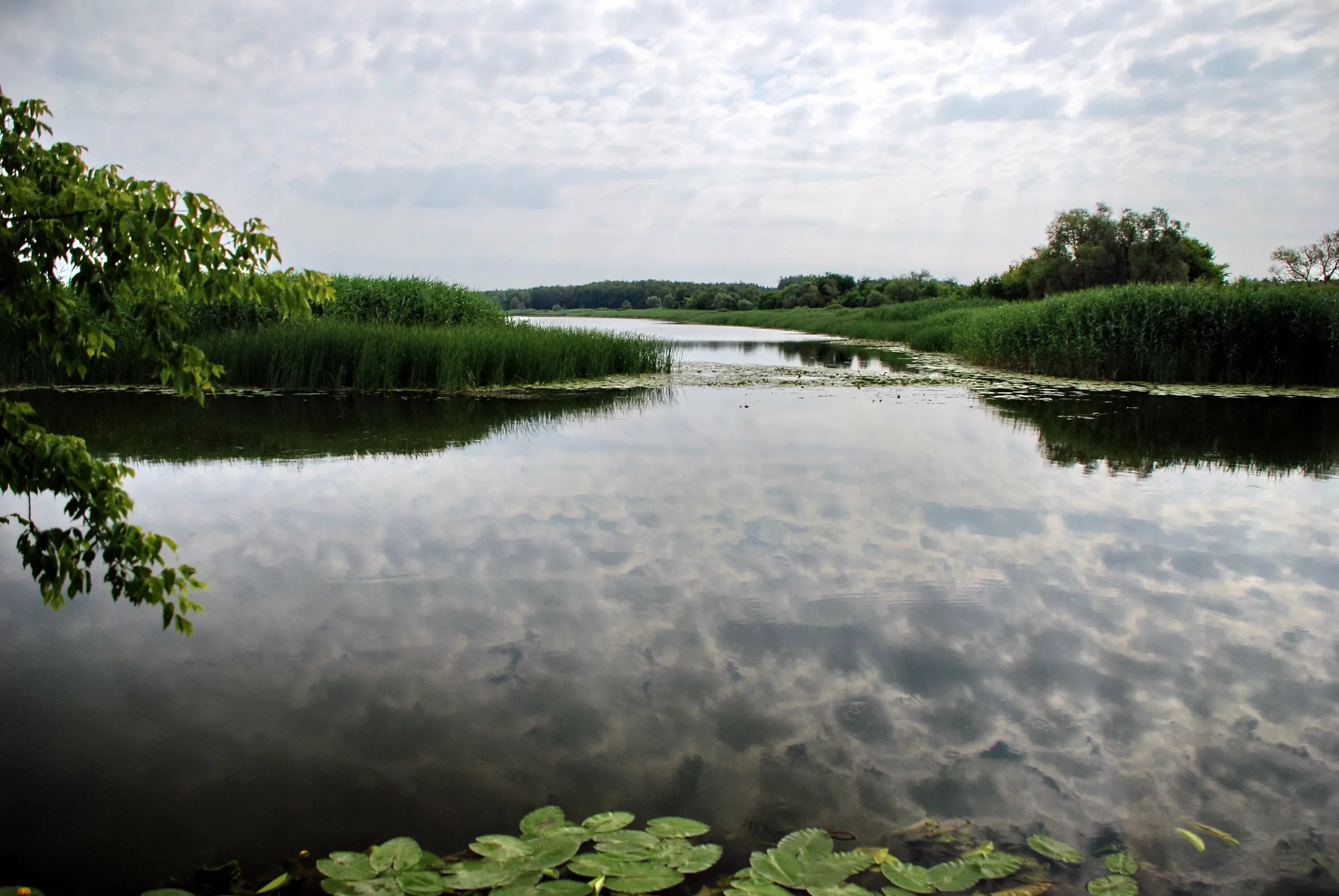 Утреняя зорька