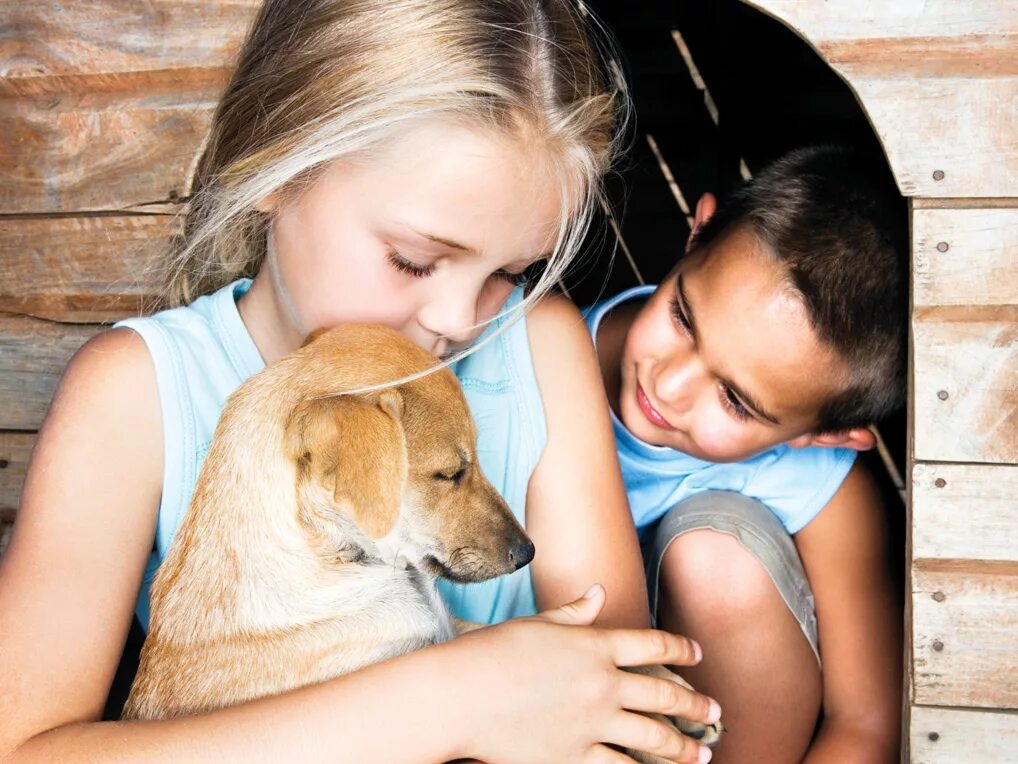 Give a talk about pets. Фонд забытые животные. Kids with Pets. Talks with animals. Family and Pets.