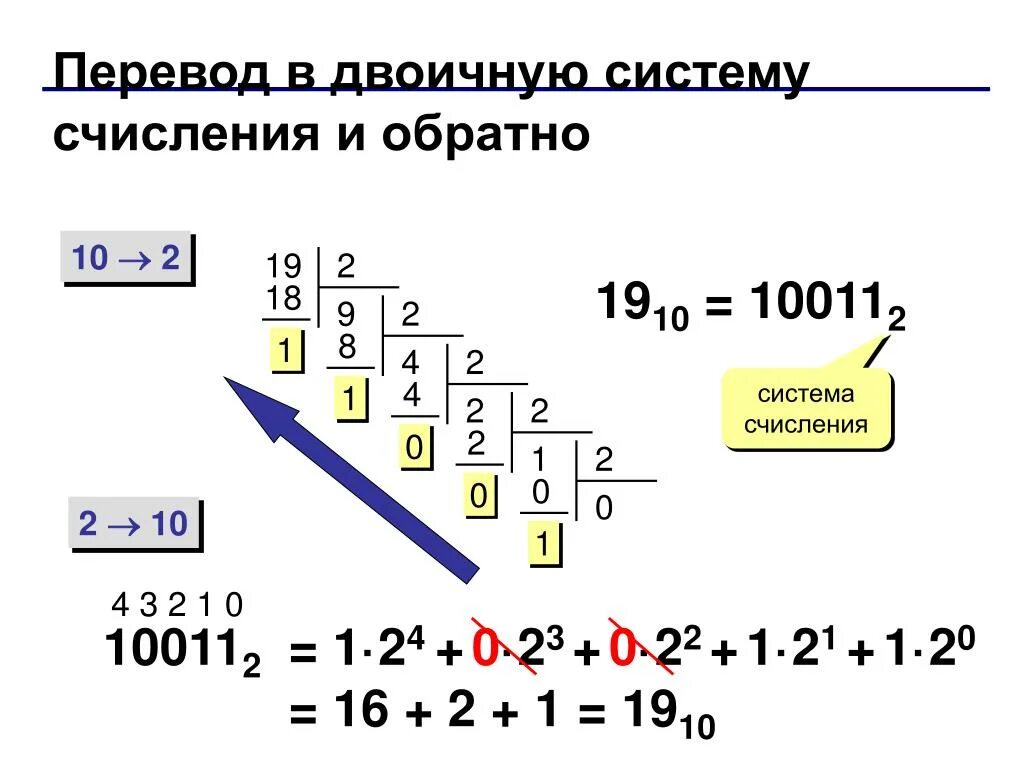 1 в десятичной сколько в двоичной. Система счисления двоичная система. Перевести в двоичную систему счисления и обратно. Как перевести 10 число в двоичную систему. Как перевести число в двоичную систему счисления.