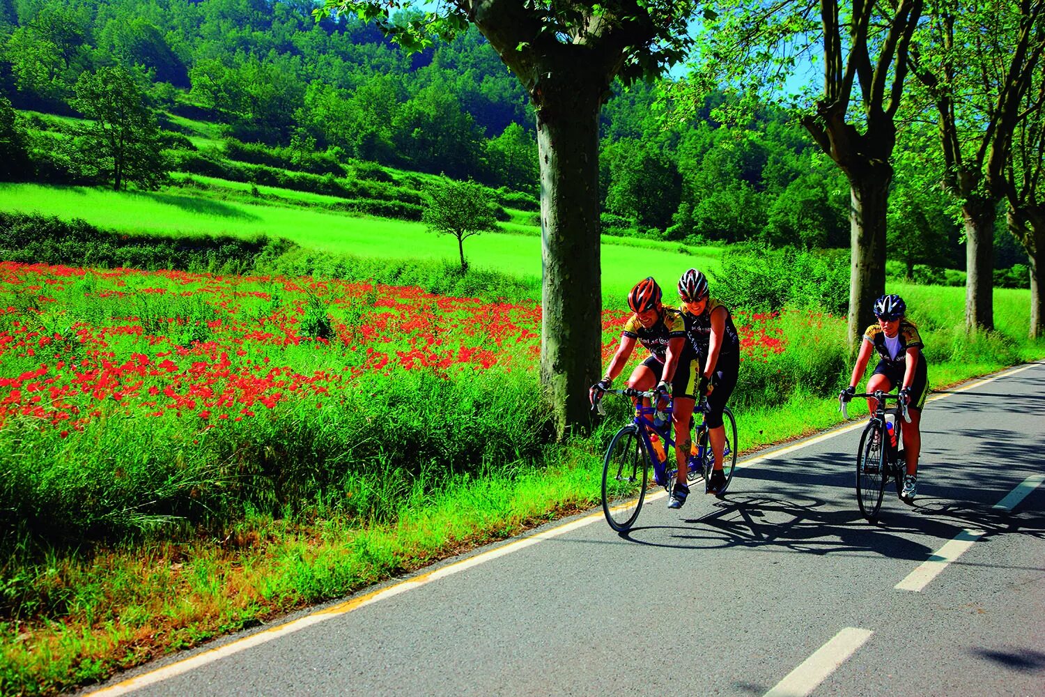 Bike tour. Велотур. Париж велотуры. Реклама велоспорта. Праздник велоспорта.