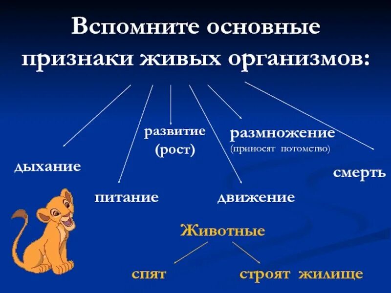 Соотнесите живые организмы с характером их. Признаки живых существ. Признаки живых организмов. Признаки живого у животных. Основные признаки живых существ.