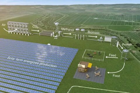 Solar foods