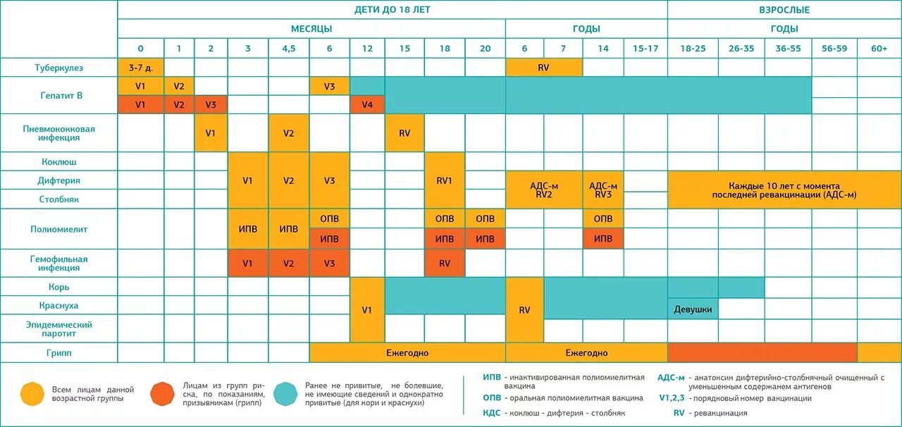 Коклюш календарь. Национальный календарь профилактических прививок РФ. Таблица профилактических прививок у детей. Календарь прививок для всех взрослых России национальный.