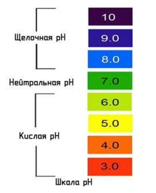 Кислотность зеленый. Кислотность 4.5. РН почвы шкала. Шкала кислотности. PH среды.