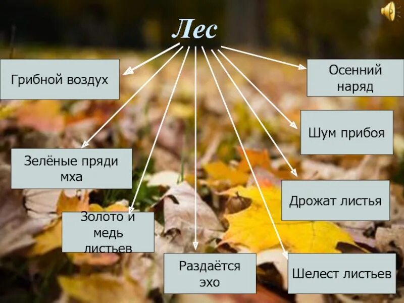 Каким становится воздух осенью. Кластер корзина с еловыми шишками. Осень - Паустовский презентация. Кластер корзина с еловыми. Кластер "к. г. Паустовский".