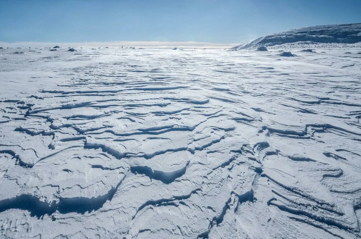 Антарктические почвы. Антарктическая Полярная пустыня. Почвы Арктики арктических пустынь. Арктические и антарктические пустыни почва. Почвы арктических пустынь в России.