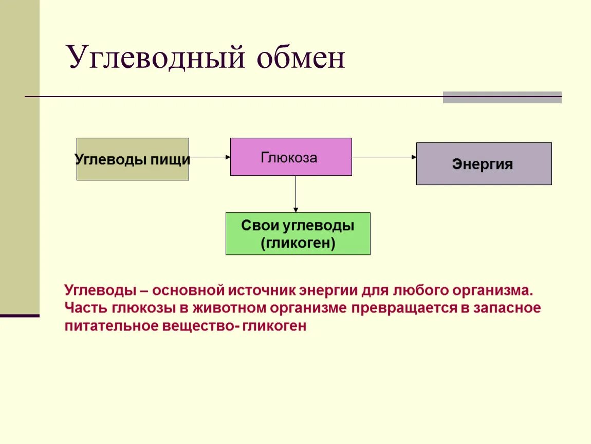 Схема обмена веществ углеводов. Схема обмена углеводов 8 класс биология. Обмен углеводов в организме человека схема. Схема углеводного обмена в организме человека. Как происходит обмен углеводов