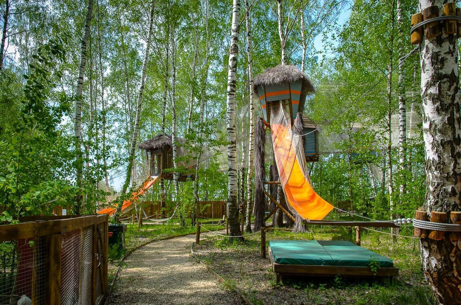 Дикие белки парк в чехове. Белка парк чеховский. Парк диких белок в чехове. Дикие белки парк приключений. Белка парк чеховский.