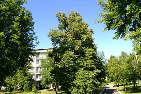 Самарская сергиевская санаторий