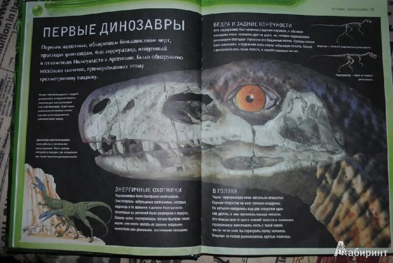 Страницы энциклопедии для детей. Что внутри книга энциклопедия. Энциклопедия животных. Детская энциклопедия обо всем на свете книги. Энциклопедия.