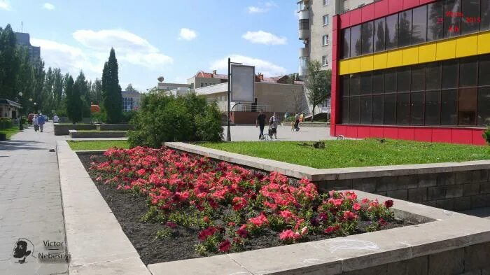Клумбы липецка. Цветочный сквер липецк. Город цветов липецк. Цветочные часы клумба. Круглая клумба в липецке адреса.