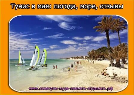 Погода в тунисе в феврале