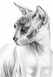 Рисунок сфинкса