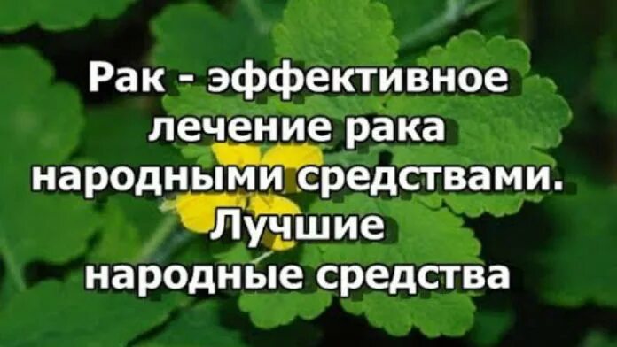 Народные средства от онкологии. Препараты от онкологии народными. От онкологии легких народными средствами. Народные способы лечения онкологии. Отзывы вылечил рак