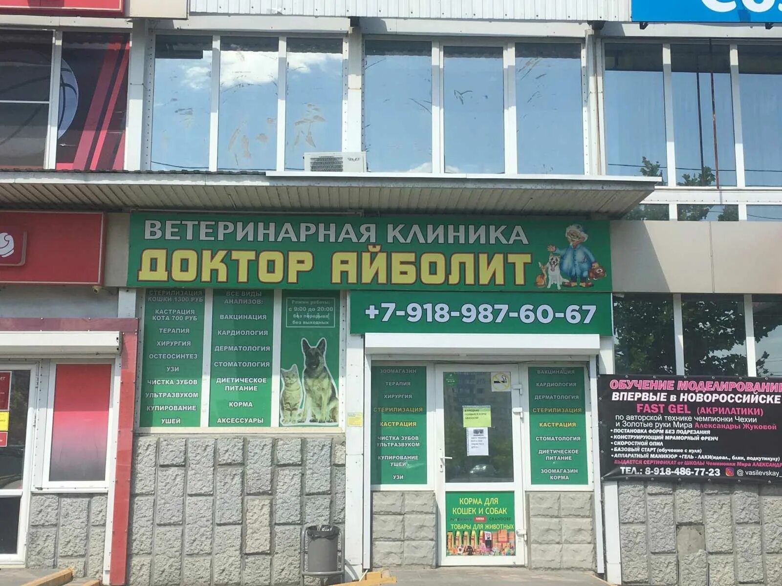Ветеринарка новороссийск. Ветеринарная новороссийская. Девять жизней иваново ветклиника. Ветеринарная новороссийская. Юг вет новороссийск ветклиника.