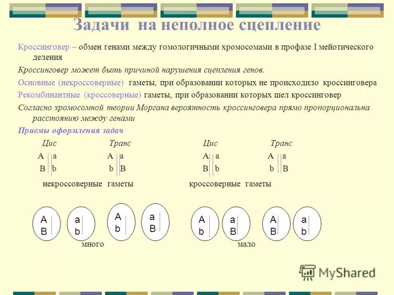 Задачи на сцепление. Задачи на сцепленные гены с решением. Задачи по генетике. Неполное сцепление генов задачи.