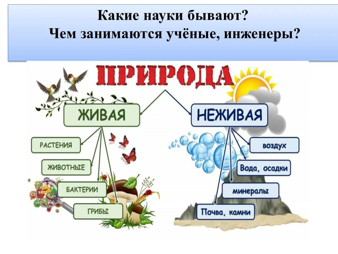 Сколько есть наука. Какие бывают науки. Какие бывают науки названия. Науки какие бывают 2 класс. Какие науки существуют для детей.