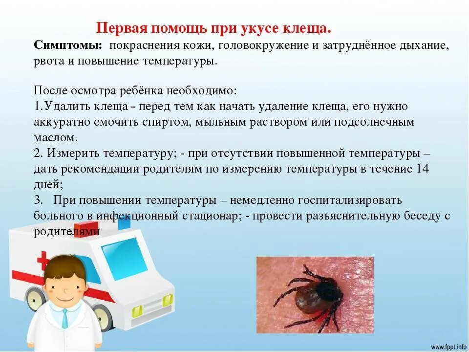 Обнаружение клеща. Укус клеща первая помощь. первая помощь при укусе клеща. оказание первой помощи при укусах клещей. оказание помощи пострадавшему при укусе клеща.