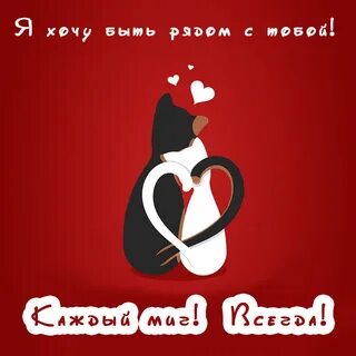 Любимой девушке прикольные
