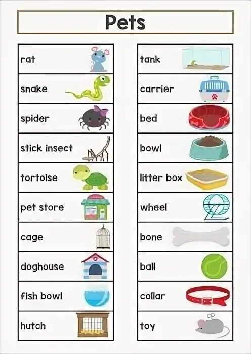 Английское слово pet. Word Wall Pets. Wordwall Pets for Kids. Wordwall Pets.