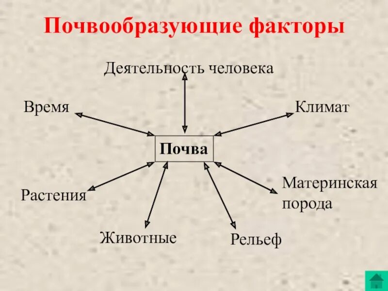 Почвообразующие факторы 8 класс география. Схема условия почвообразования. Назовите основные факторы почвообразования. Факторы формирования почвы. Схема почвообразующие факторы.