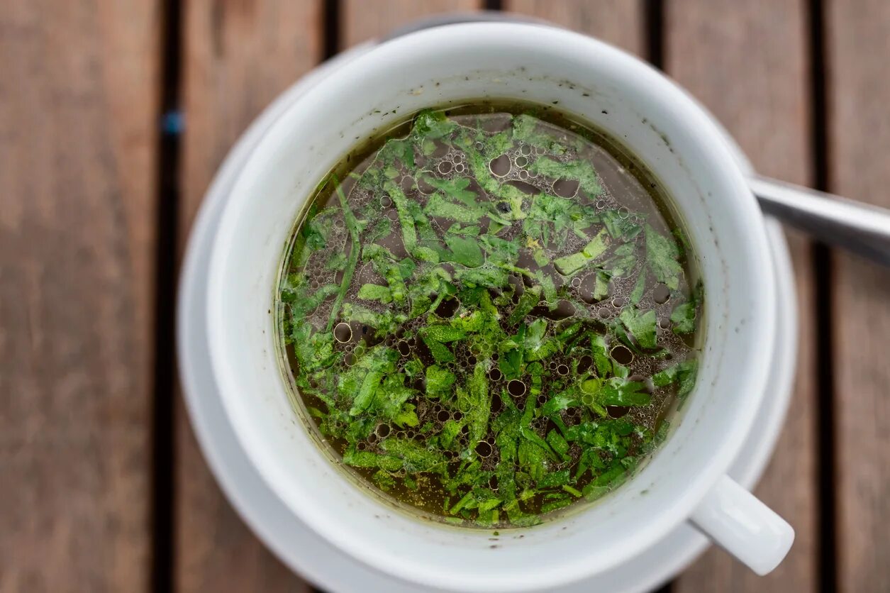 Настой из петрушки. Петрушка пить отвар. Отвар корней петрушка. Отвар из кинзы и петрушки. Отвар петрушки.