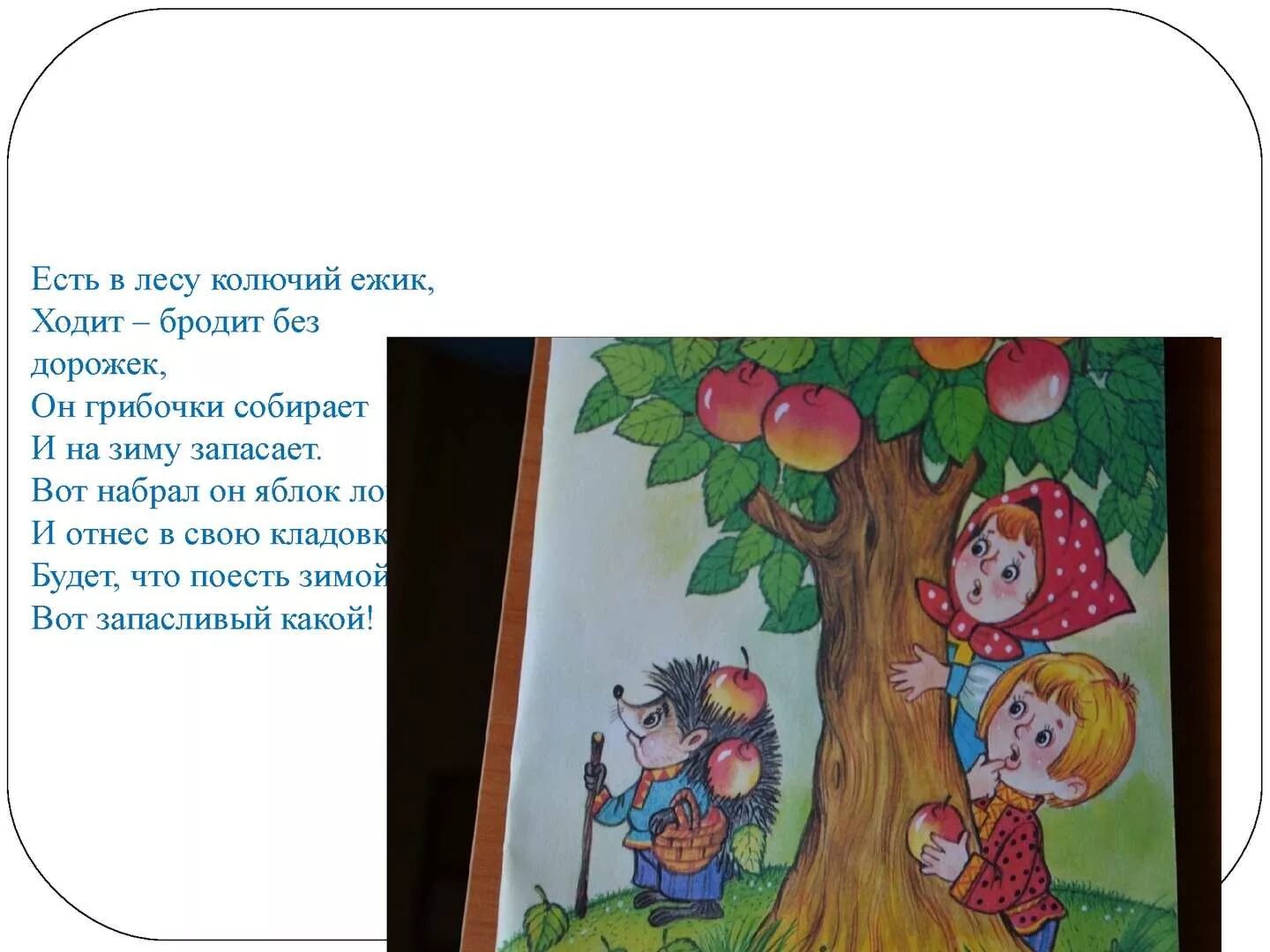 Ежик четверо ножек песенка. Стих про ежика и яблоки. Ходит Ежик без дорожек по лесу. Стишки про ежика и яблоко. Стих про ежа и яблоки.