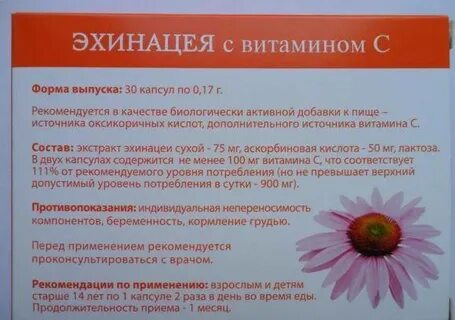 Эхинацея от чего помогает
