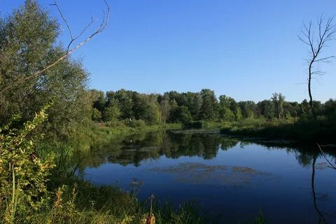 Погода в старом хопре на 10