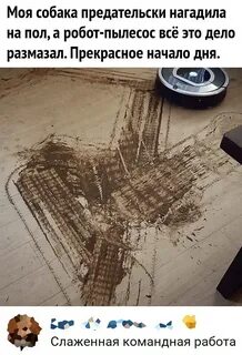 Робот пылесос закол гуся