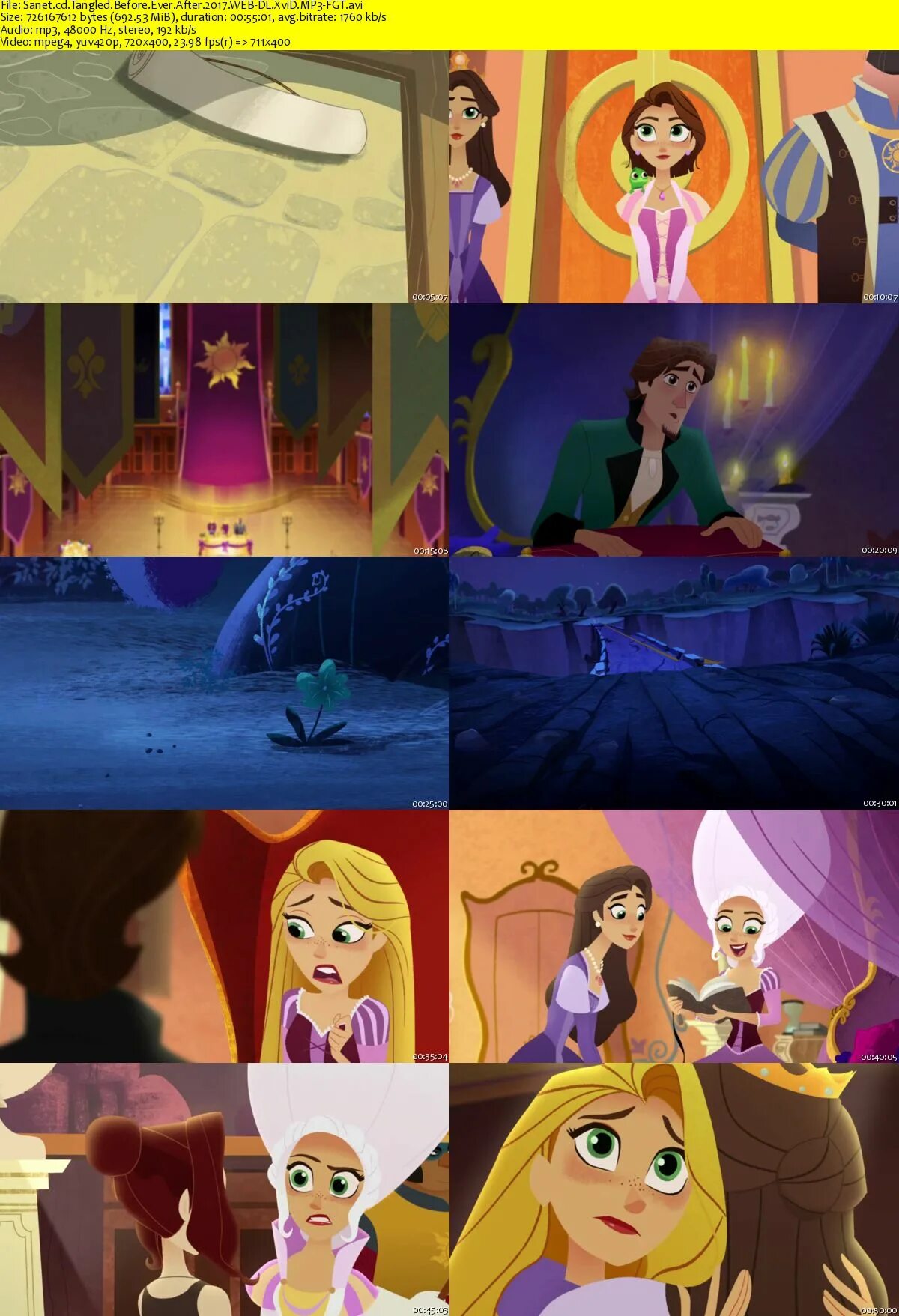 Рапунцель дорога к мечте вэриан. Рапунцель новая история. Рапунцель новая история леди кейн. Рапунцель персонажи мультсериал. Before ever after.