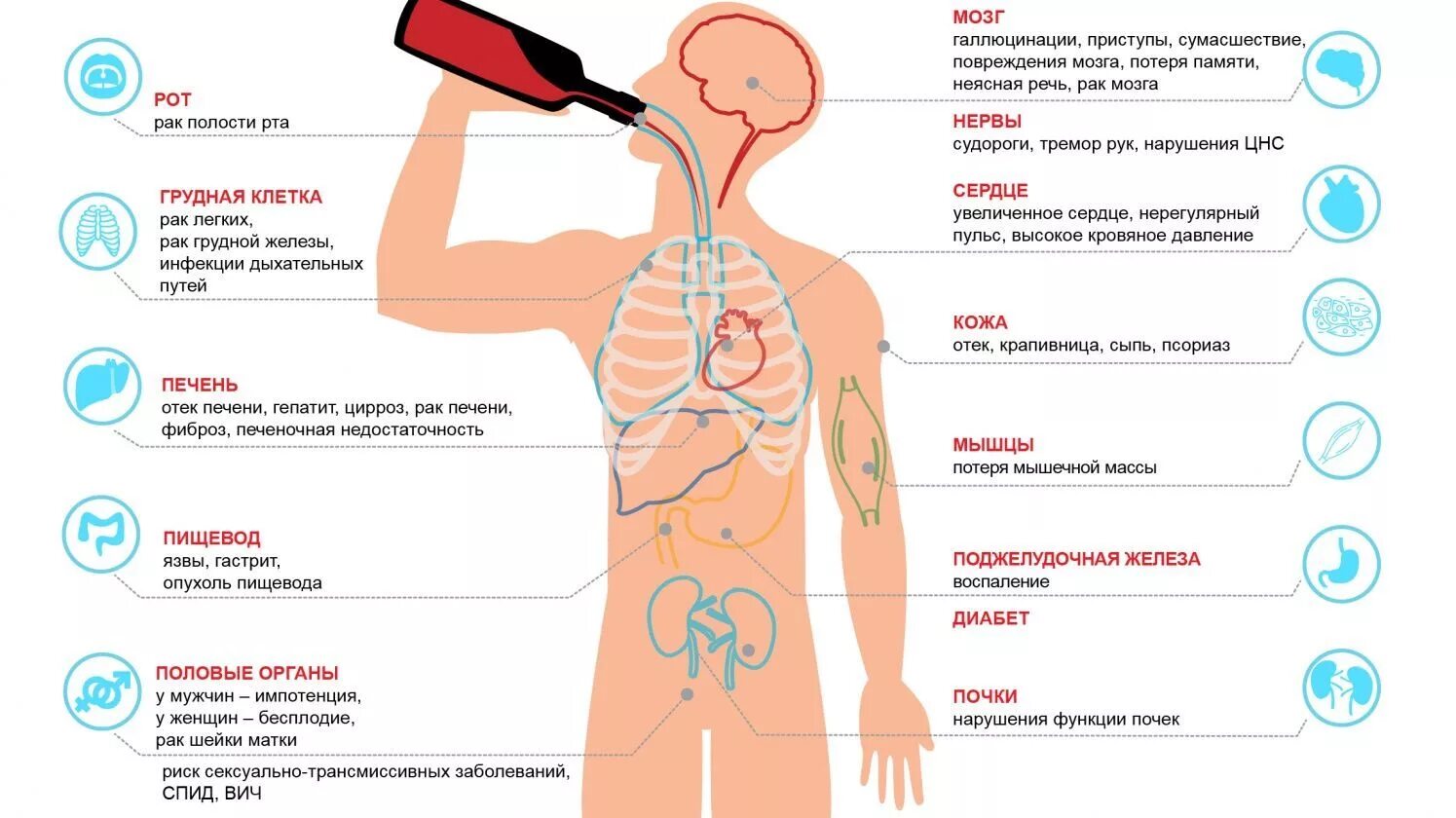 Влияние алкоголизма на организм человека. Мужчина без органа