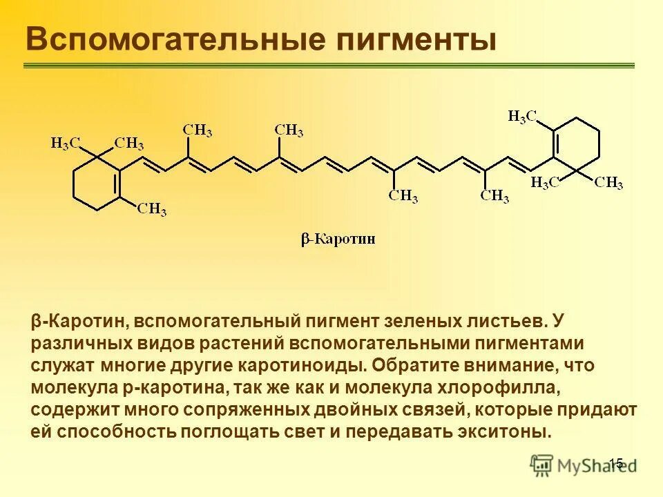 Содержит хлорофилл и каротиноиды. Пигменты листа хлорофилл каротин. пигменты растений хлорофилл каротиноиды ксантофиллы. строение каротина. каротиноиды цвет пигмента.