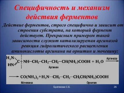 Гидролитические ферменты