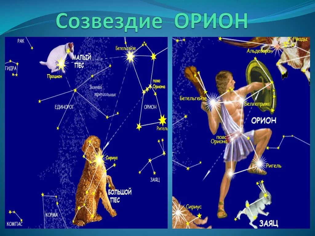 Orion Constellation in Starry Sky Stock Illustration - Illustration of destiny, 