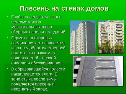 Дома причины
