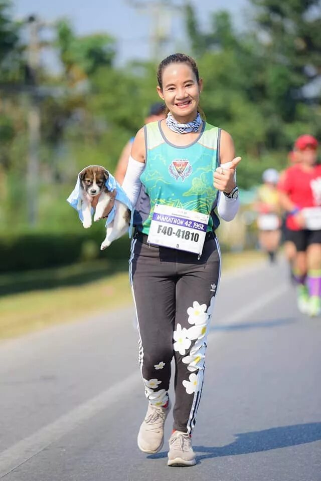 Пробежала 42 километров. Марафон животные. Бег добро. Участница марафона в Тайланде пробежала с щенком.