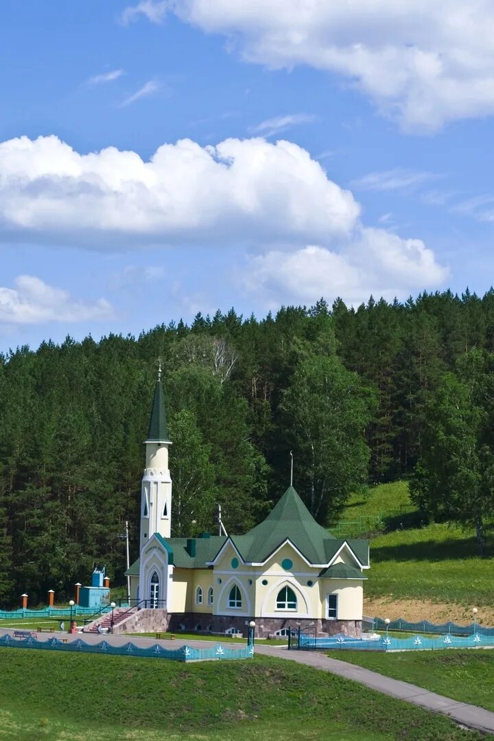 Ташла гафурийский