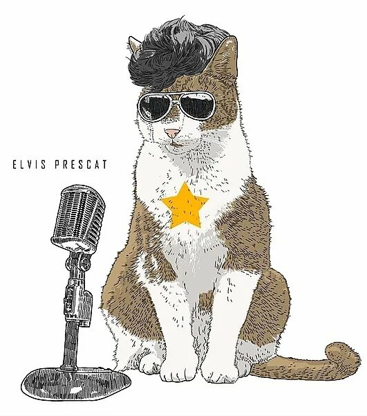 Кот поет в микрофон. Кот Элвис Пресли. Кот с микрофоном. Микро кот. Кот поет.