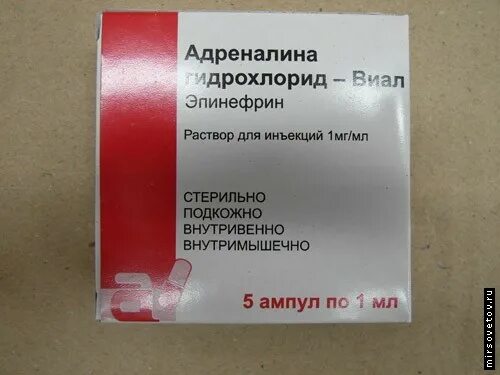 1 адреналина гидрохлорид. Адреналин гидрохлорид 0.1 %. Адреналина гидрохлорид ампулы. Адреналина гидрохлорид-Виал. Адреналина гидрохлорид раствор.