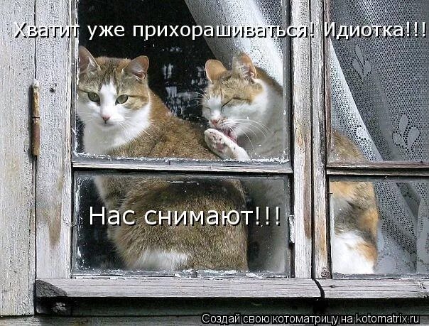 Сниму довольное