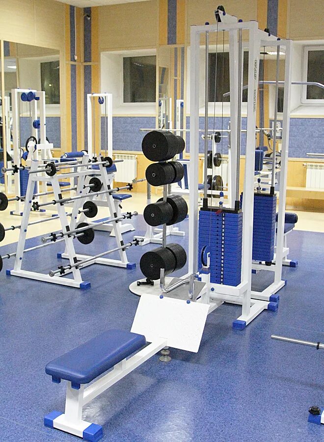 Vasil gym