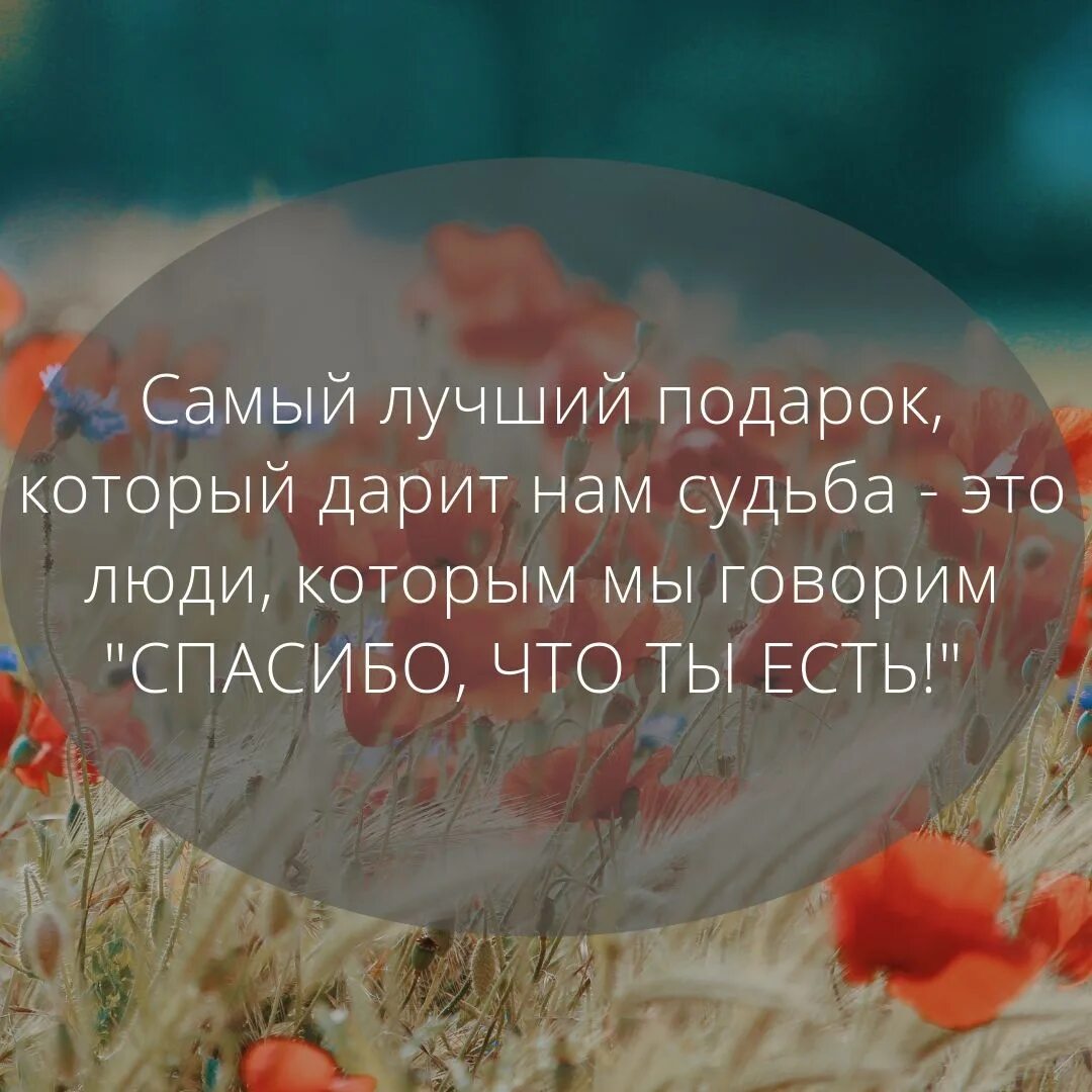 Дорогой человек в жизни каждого
