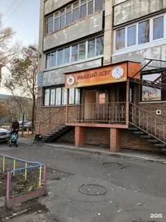 Рыжий кот оренбург