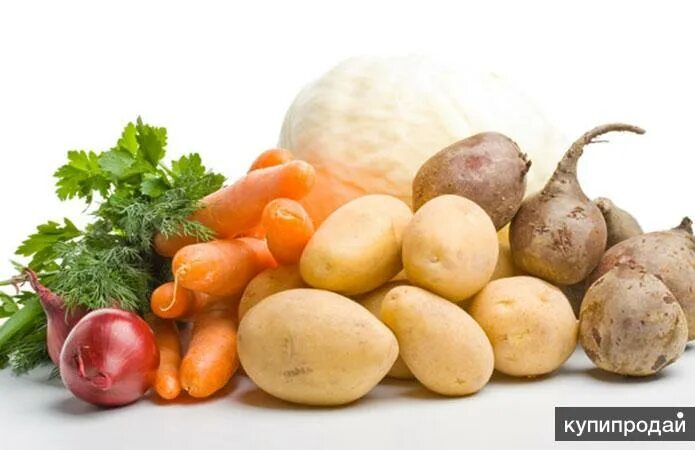 Снизились цены на сезонные овощи и рыбу в Нижегородской области