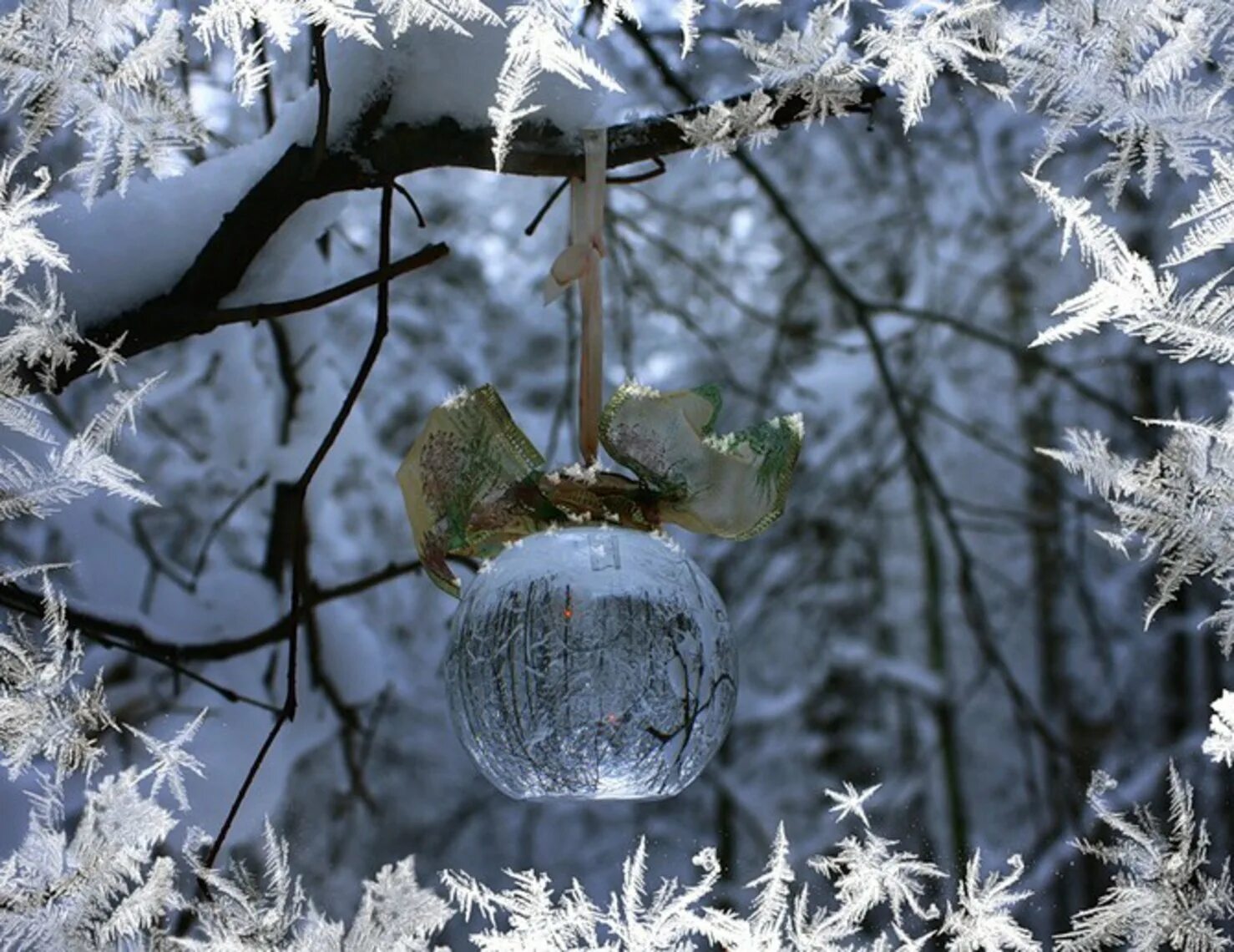 Зимнее чудо. Чудеса зимней природы. Чудеса зимы. Зима волшебство. Is winter beautiful