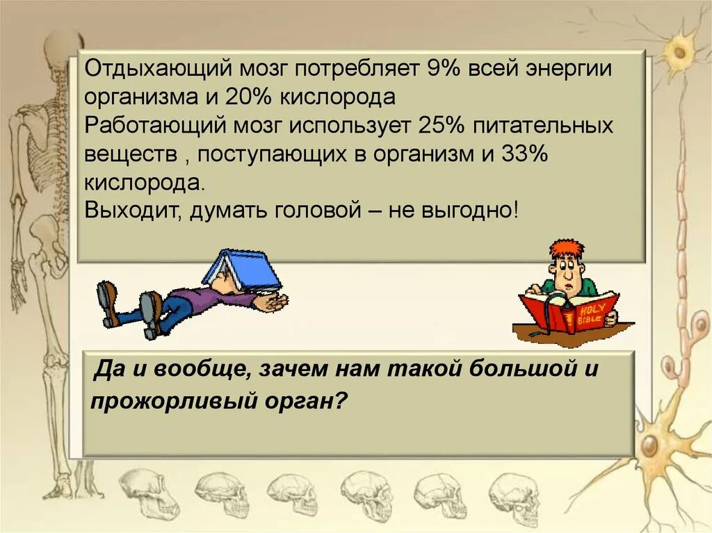 Сколько потребляет мозг. Потребление энергии мозгом. Мозг потребляет энергии. Сколько процентов энергии потребляет мозг. Расход энергии мозгом.