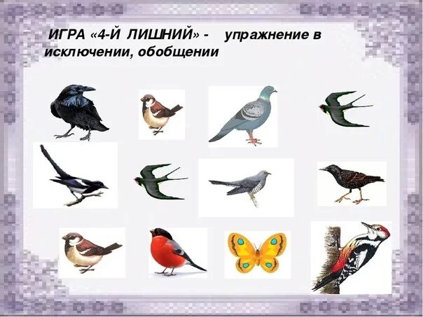 Занятие развитие речи зимующие птицы. Задание четвертый лишний перелетные птицы. четвертый лишний зимующие птицы. зимующие птицы 4 лишний. четвертый лишний по теме зимующие птицы.